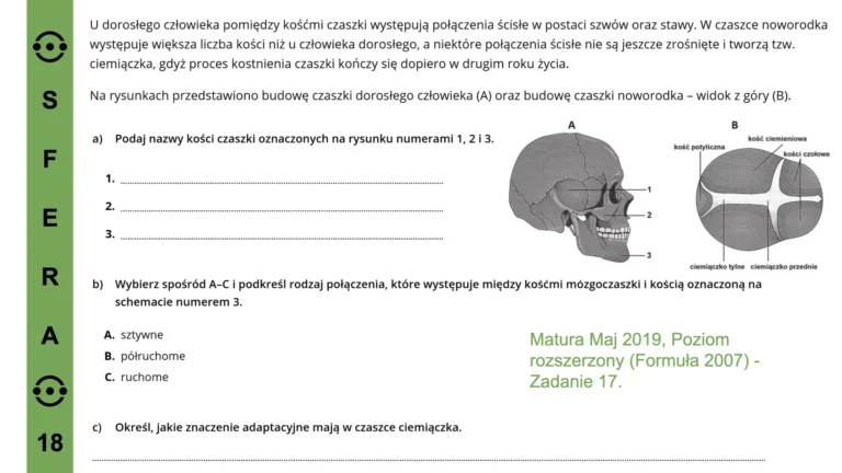 przykładowy slajd 3 - kurs biologia_compressed