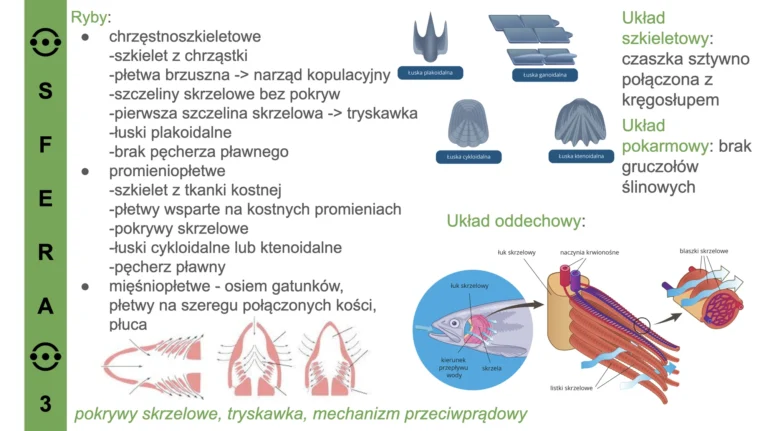 przykładowy slajd 4 - kurs biologia_compressed