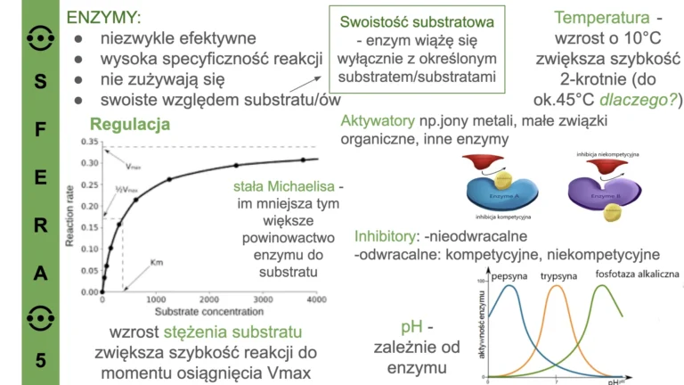 przykładowy slajd 5 - kurs biologia_compressed